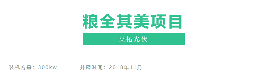 莱拓与粮全其美的故事